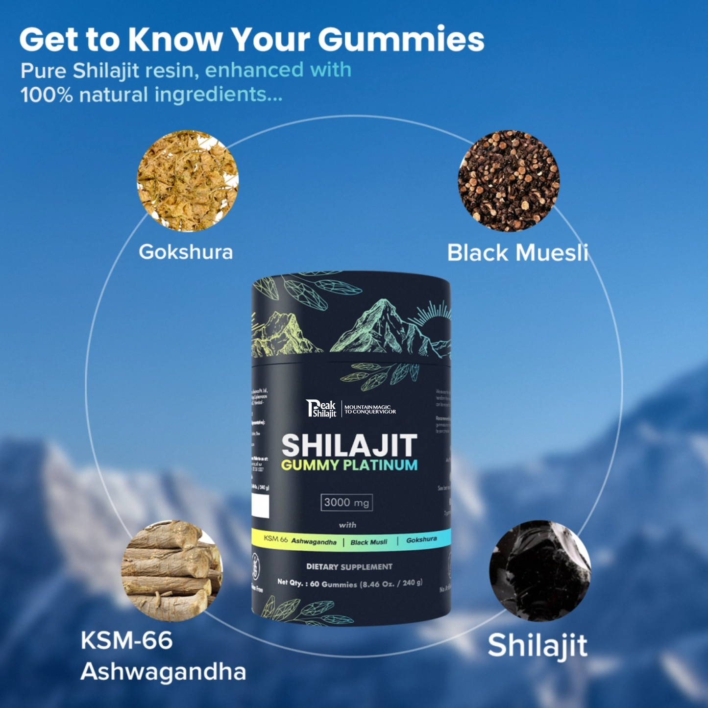 Shilajit Gummy Platinum