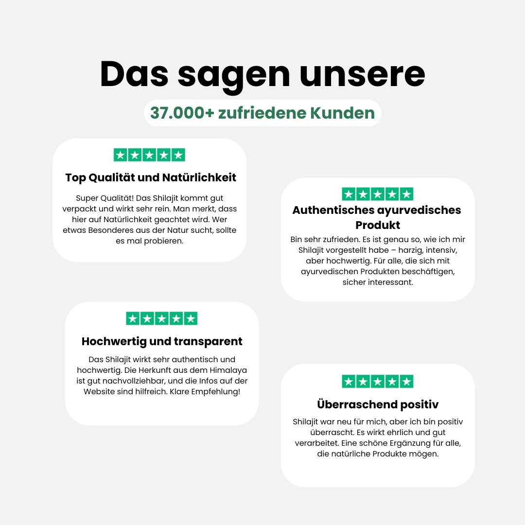 Himalajit | Resina di Shilajit dagli Himalaya - 30grs