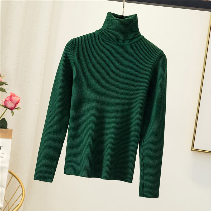 Amada | Lussuoso Maglione a Collo Alto