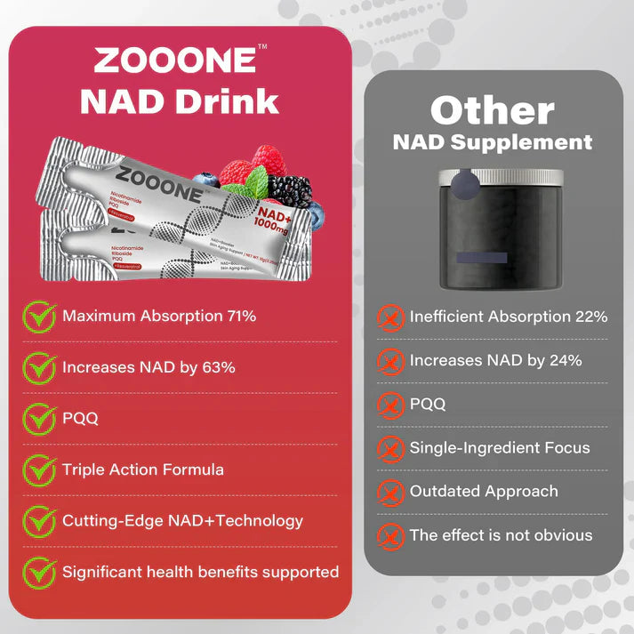 ZOOONE NR1000 | Bevanda a base di frutti di bosco e NAD+ per combattere l'invecchiamento