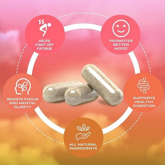 Capsule di Yerba Mate