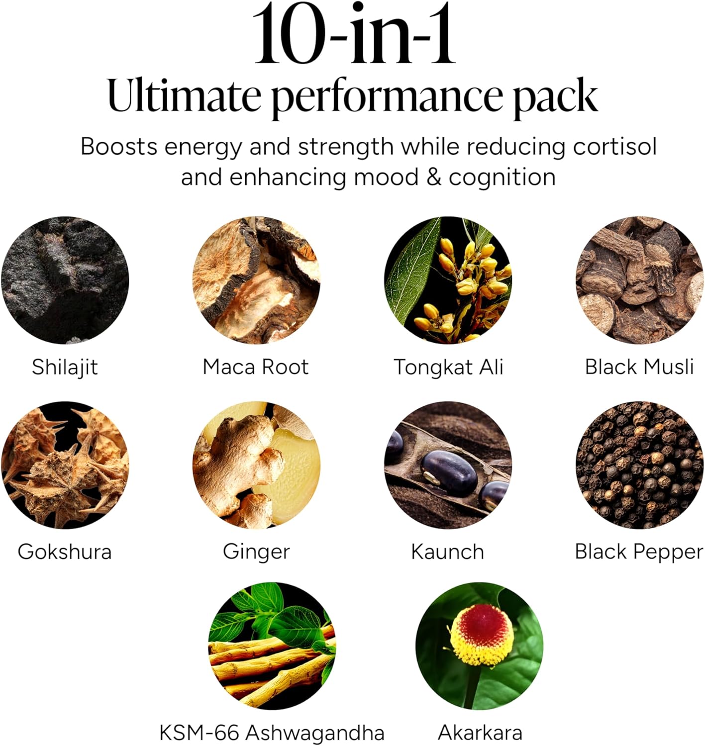 HimalayaShilajit | Gummy al Shilajit Himalayano Puro con KSM-66 e Altre Erbe