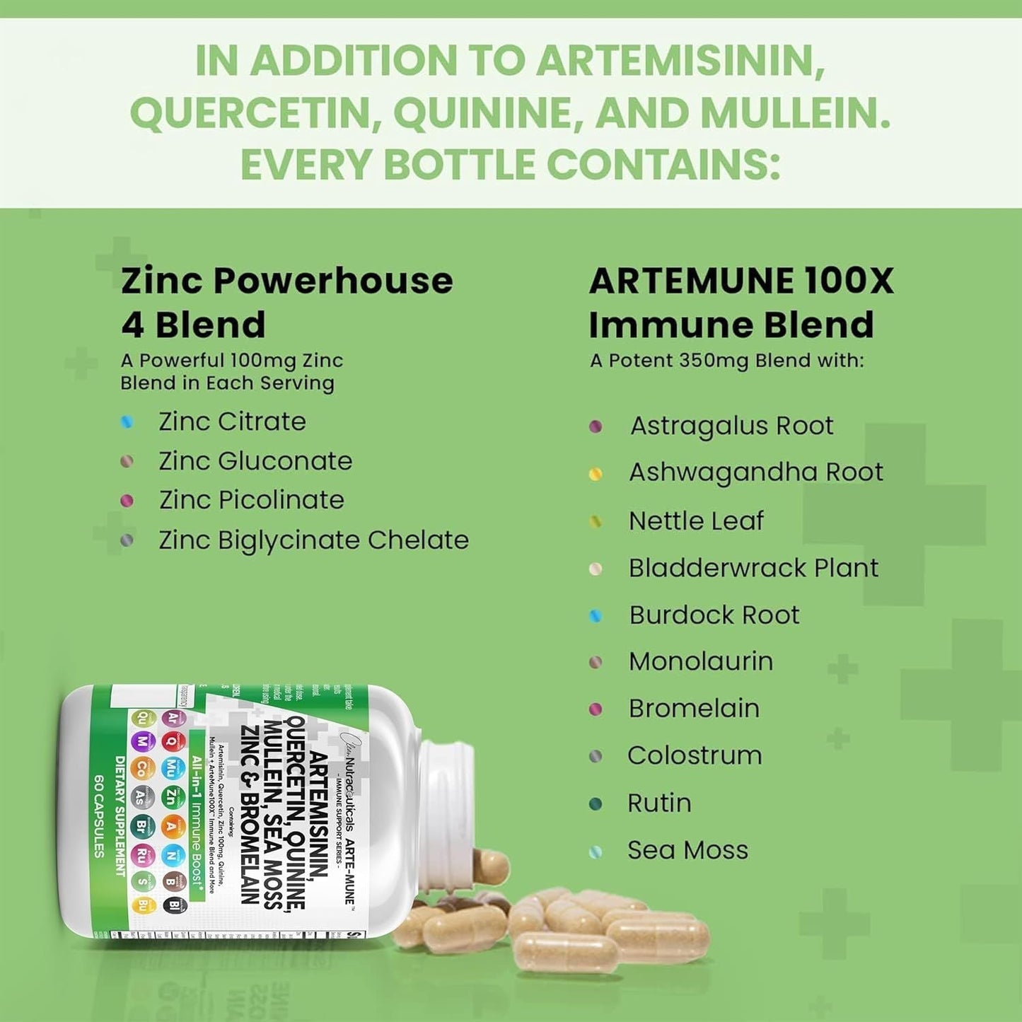 ArteImune | Rafforza le tue difese con Artemisinina, Quercetina e Bromelina