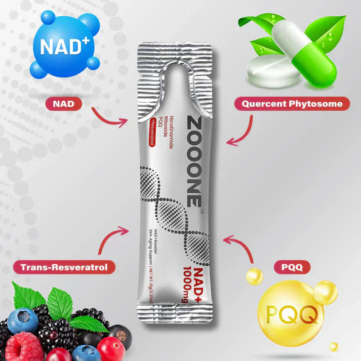 ZOOONE NR1000 | Bevanda a base di frutti di bosco e NAD+ per combattere l'invecchiamento